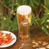 Clearview Borosilicate Beer Glass 450 Ml. (15 Fl. Oz.)