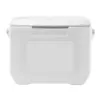 Coleman® 16 Qt. Cooler