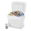 Coleman® 30 qt. Chest Cooler