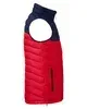 Columbia Men's Powder Lite Vest