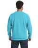 Comfort Colors Adult Crewneck Sweatshirt