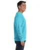 Comfort Colors Adult Crewneck Sweatshirt