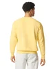 Comfort Colors Unisex Lightweight Cotton Crewneck Sweatshirt