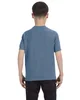 Comfort Colors Youth Midweight T-Shirt