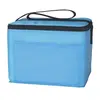 Compact Cooler Bag