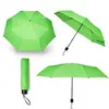Compact Folding Umbrella