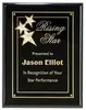 Ebony Star Constellation Promotional Plaque