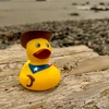 Cowboy Duck