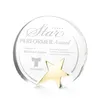 Custom Star Recognition Award
