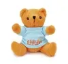 Customized Extra Soft  Bear in 3 Colors - 7"