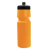 Cyclist Bike Bottle with Push-Pull Lid (24 oz.)