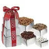 Deluxe Sweet & Salty Tower Gift Set