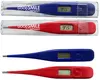 Personalized Digital Thermometer