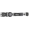 Dog Collar With Neoprene Backing: Large