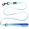 Dog Leash With Neoprene Backing: Wide