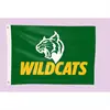 Double-Sided W Team Flags (2-ft. H x 3-ft.)