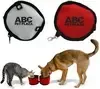 Personalized Dual Pet Bowl