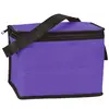 Eco-Friendly Six-Pack Cooler Bag