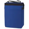 Econo-12 Pack Cooler