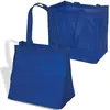 Econo Enviro-Shopper