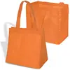 Econo Enviro-Shopper