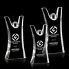 Customized Optical Crystal Emmet Award for Business Accomplishments (CEA)