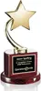 Custom Star Recognition Award with Rosewood Base for Corporate Appreciation