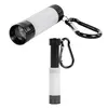 Extendable Lantern Flashlight