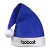 Personalized Felt Santa Hat