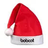Personalized Felt Santa Hat