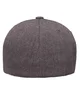 Flexfit Adult Heatherlight Cap