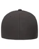 Flexfit Adult NU Cap