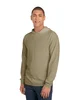 Fruit of the Loom Men's HD Cotton Jersey Hooded T-Shirt