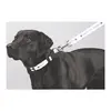 Custom Premium Pet Leash - Full Color 1" Wide