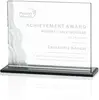 Custom Fullerton Waterfall Etched Business Award