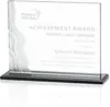 Custom Fullerton Waterfall Etched Business Award