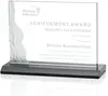 Custom Fullerton Waterfall Etched Business Award