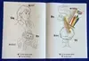 Fun with The Alphabet Coloring & Activity Book