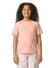 Gildan Youth Softstyle CVC T-Shirt