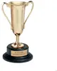 Custom Gold Plated Loving Cup Award with Brass Plate