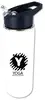 Halcyon 20oz Insulated Stainless Steel Sports Bottle with Flip Straw Lid - BPA Free