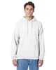 Hanes Unisex Ecosmart® Pullover Hooded Sweatshirt