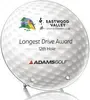 Hillsboro Golf Award