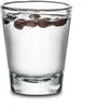 Hofman Shot Glass