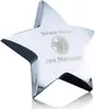 Hollister Standing Star Paperweight