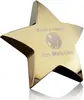 Hollister Standing Star Paperweight