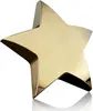 Hollister Standing Star Paperweight