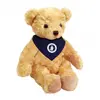 Honey Bear Plush Toy