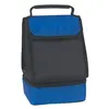 Insulated Dual Compartment Bag