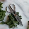 Kitchen Scissors